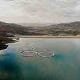 Image of floating solar panels in dam