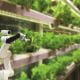 Image of robot tending to farm crops