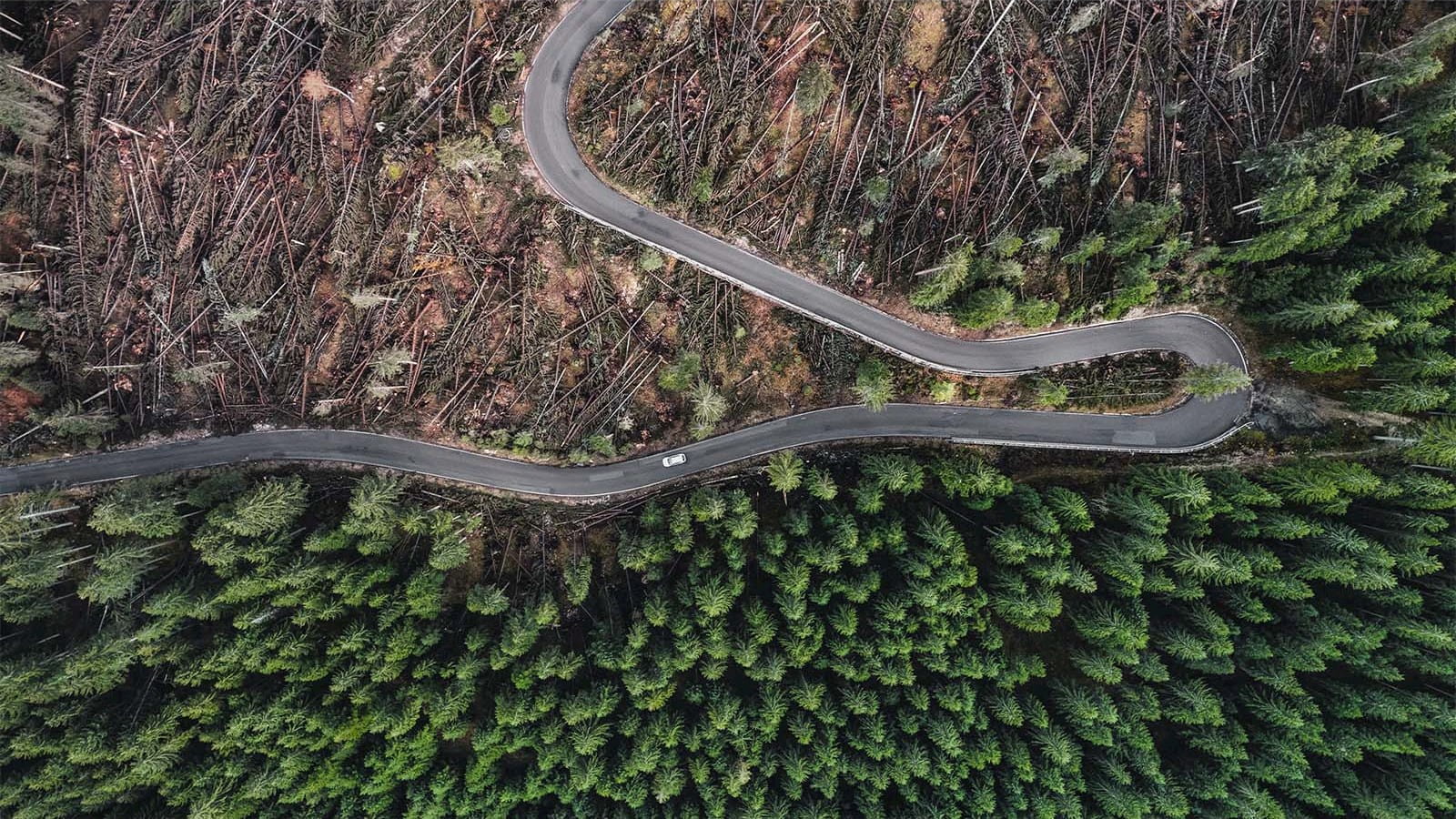 aerial birds eye view winding road through forest hill mountain green trees rock