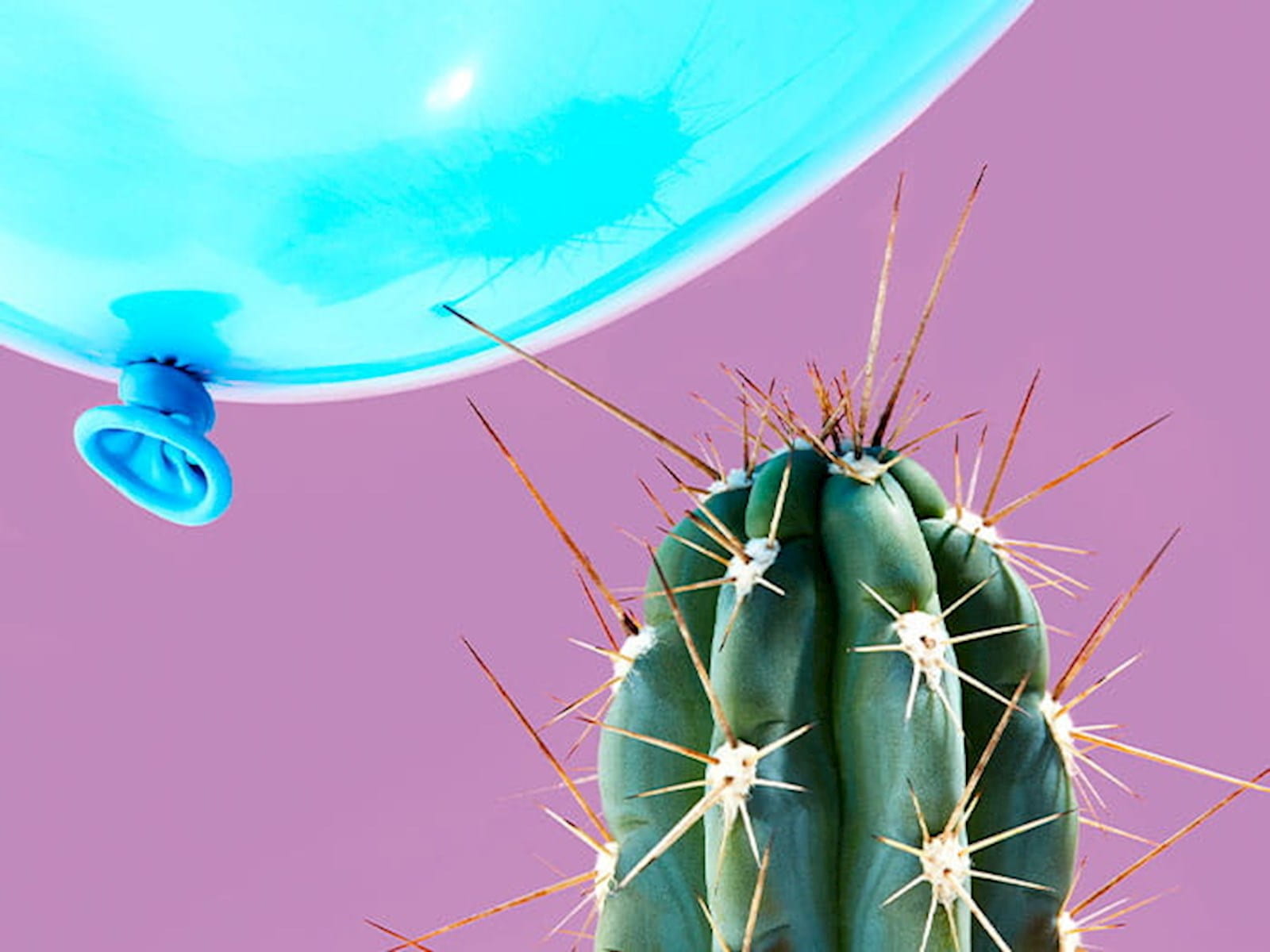 cactus needles poking a bright blue balloon about to burst purple background