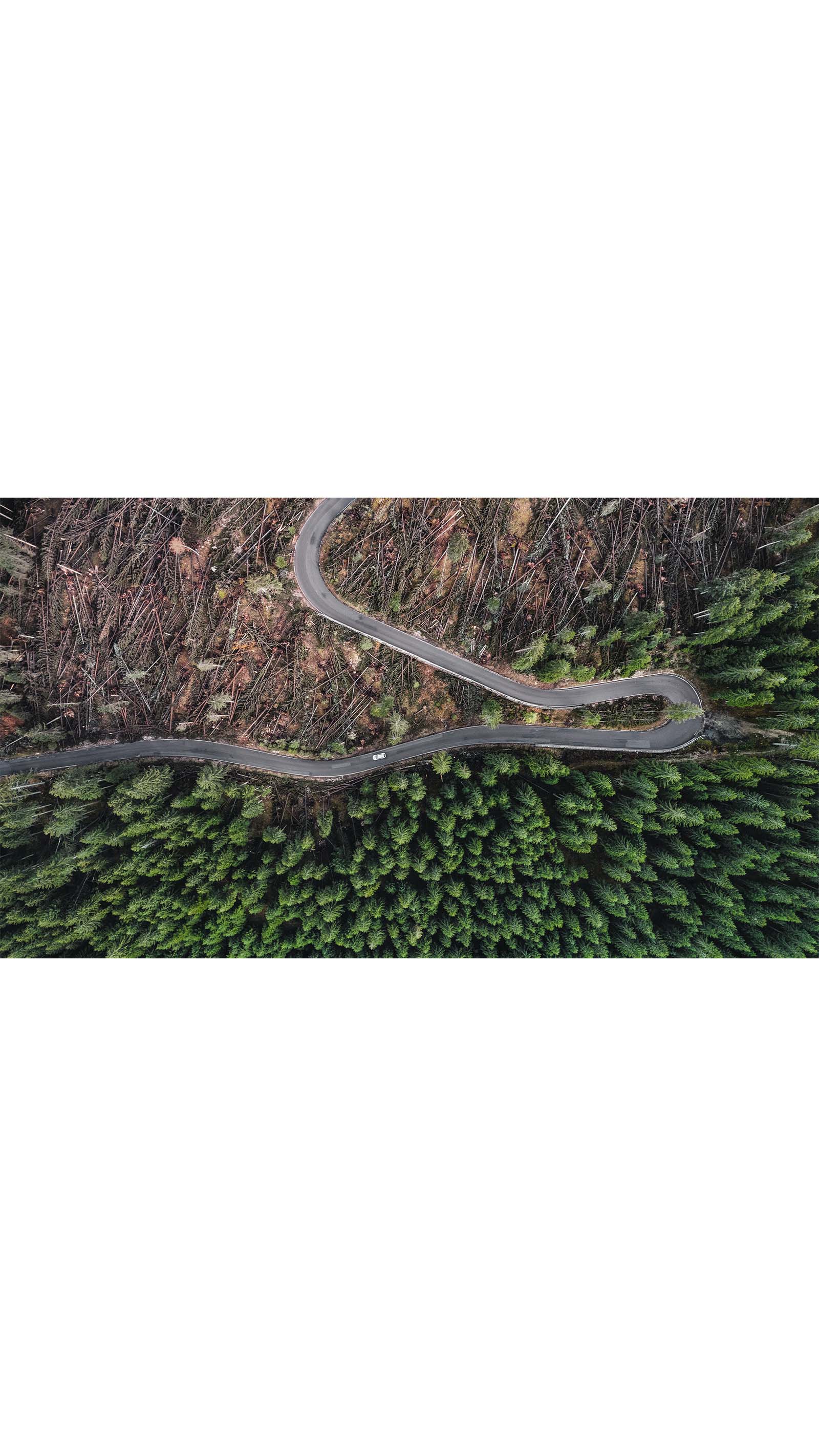 aerial birds eye view winding road through forest hill mountain green trees rock