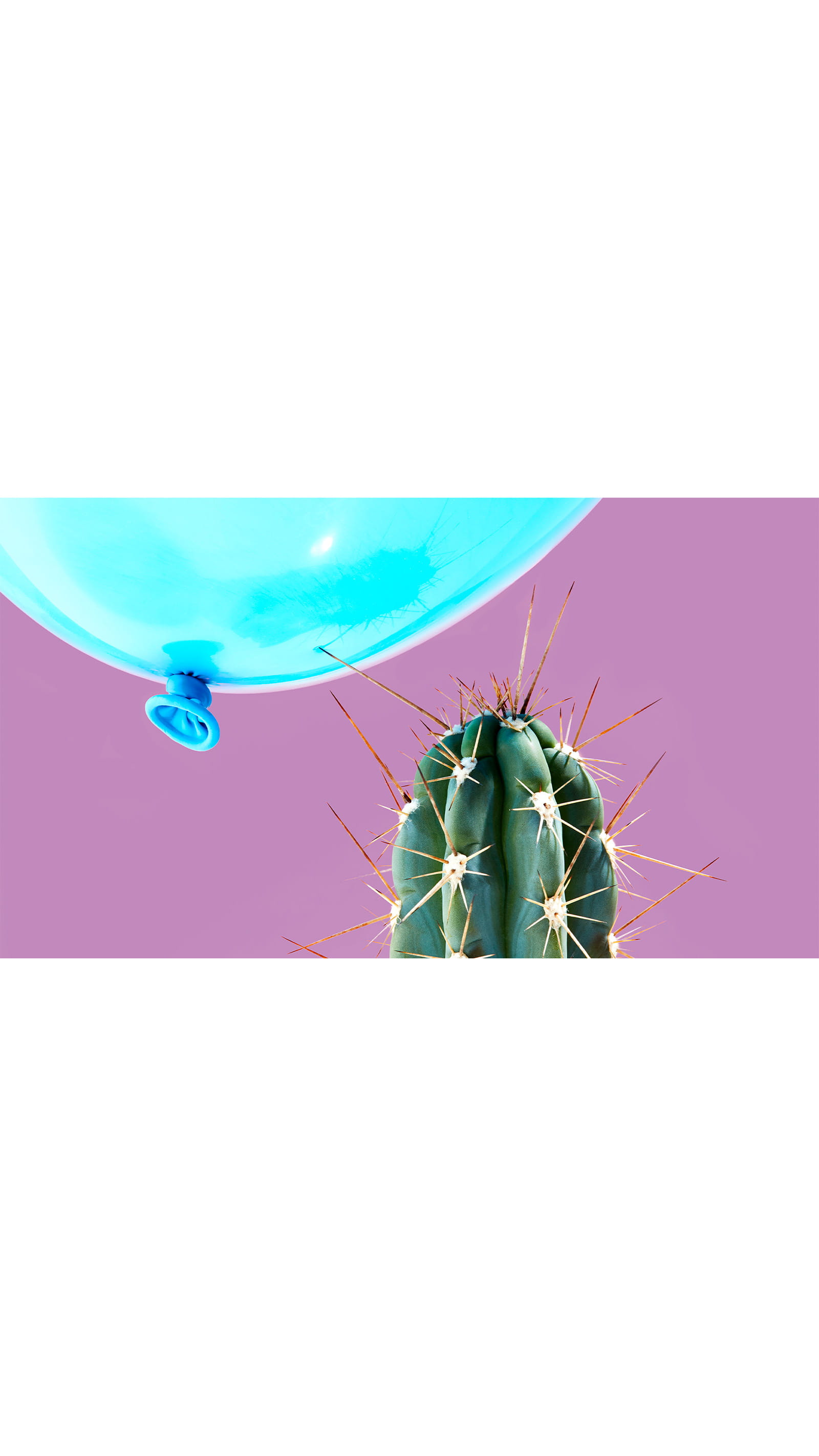 cactus needles piercing a bright blue balloon about to burst purple background