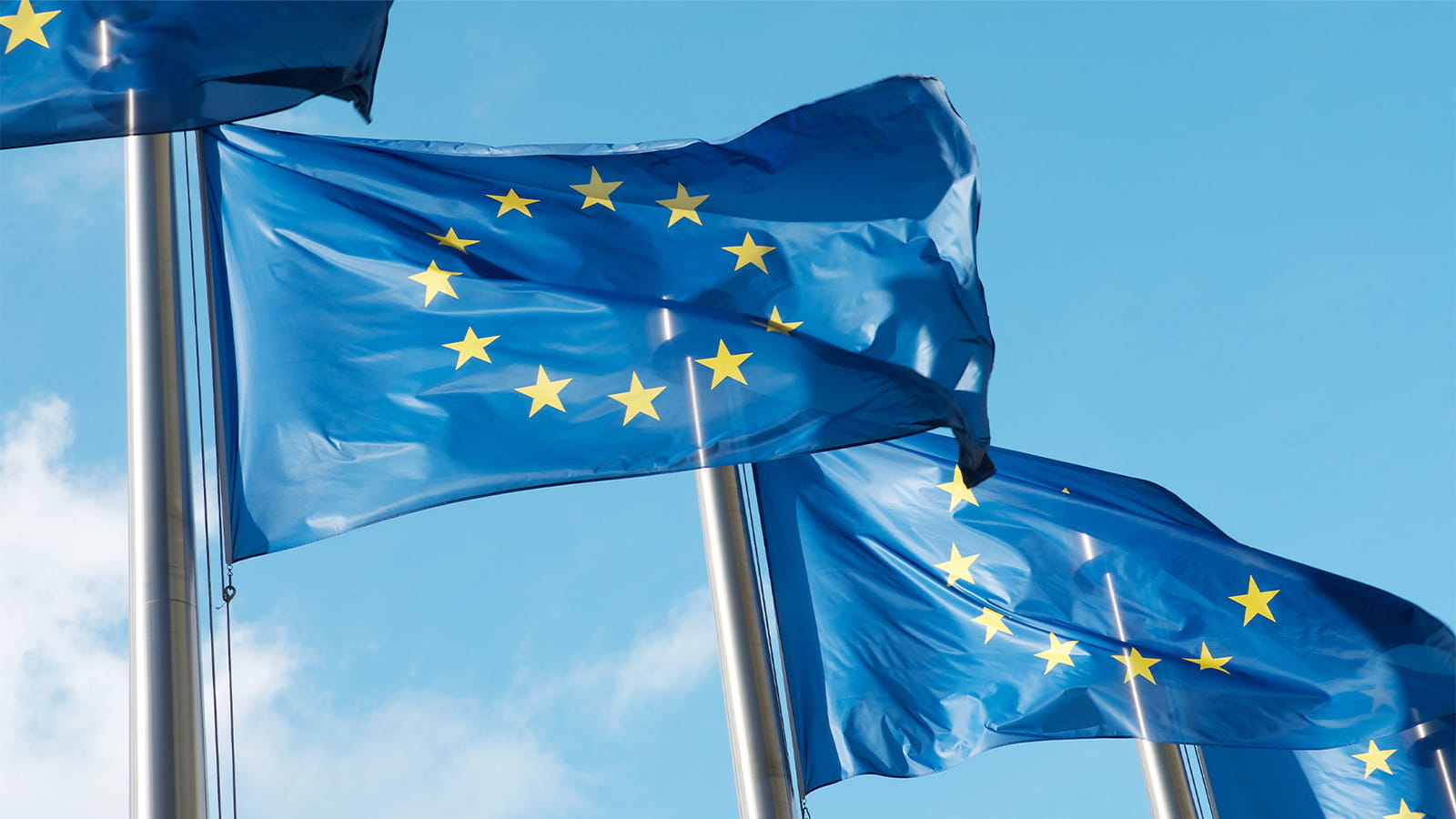 row of Euro European flags blue with ring of yellow starts against a blue sky