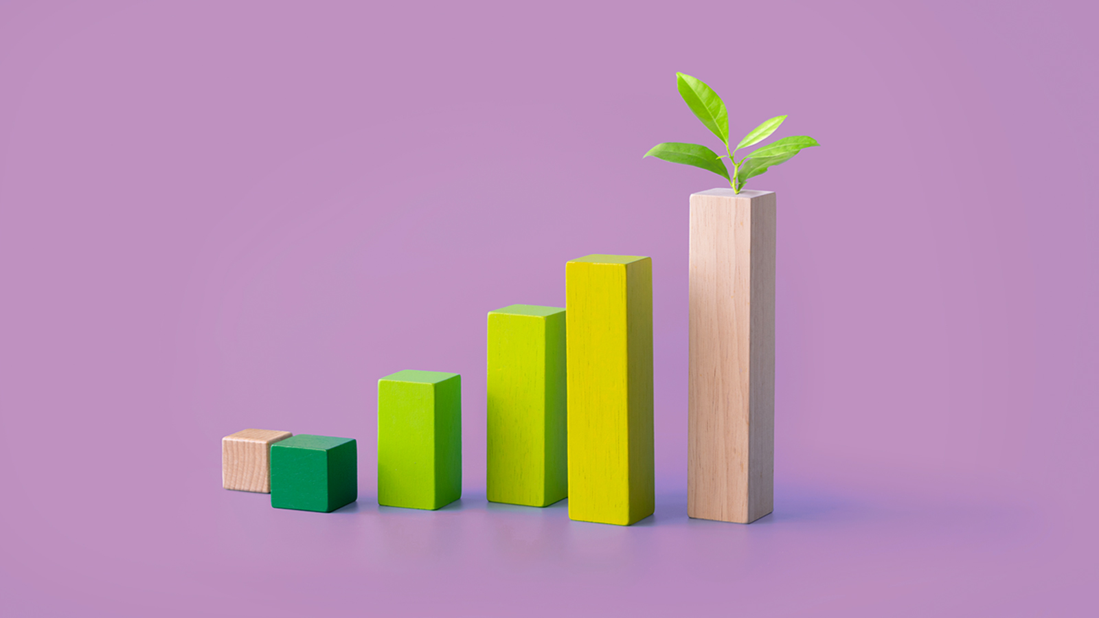 3D rendering of bar charts wood blocks painted green with a plant sprouting from one sustainability
