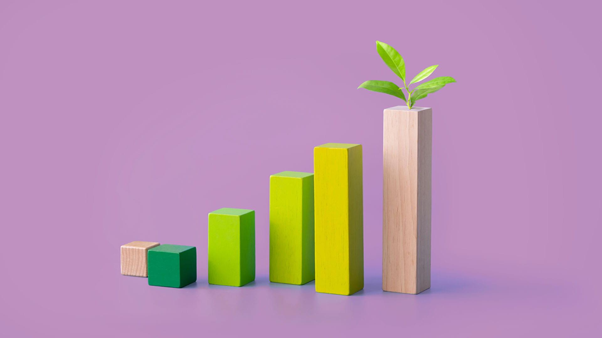 Taking a simplified approach to sustainability reporting