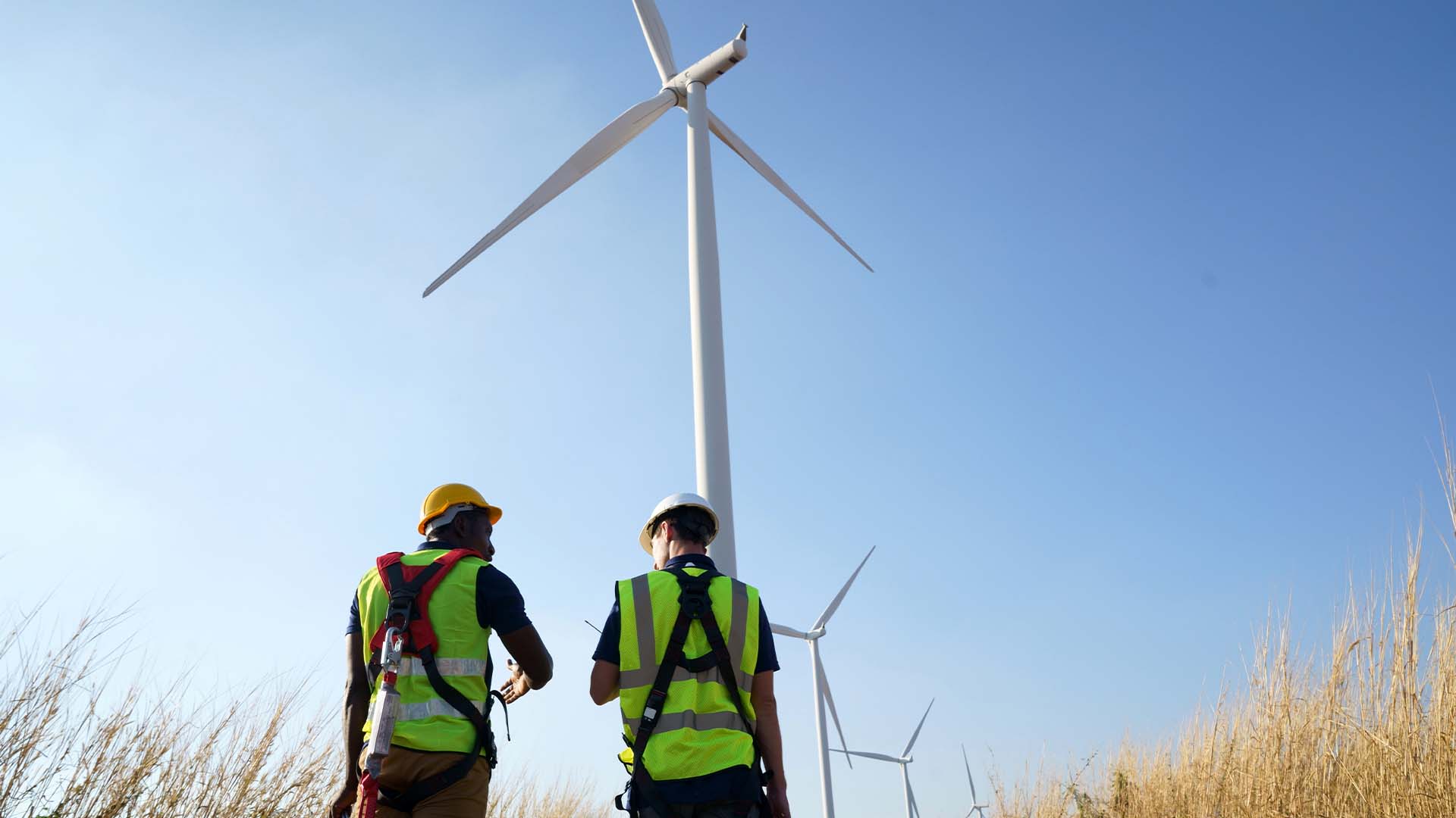 Picture of Developing a UK sustainability reporting and assurance framework | ICAEW