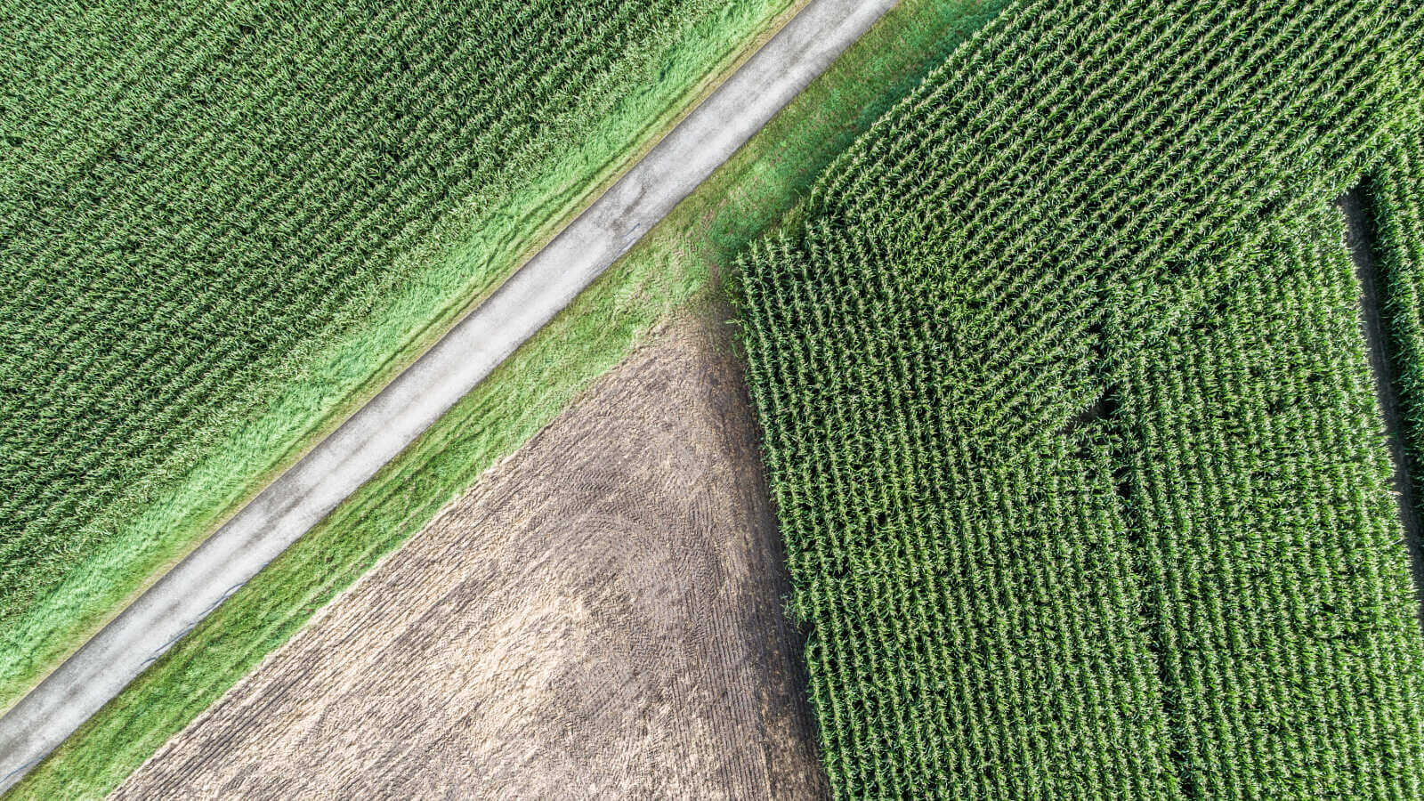 Aerial view of farmland showing a road dividing green crops and a brown ploughed field.