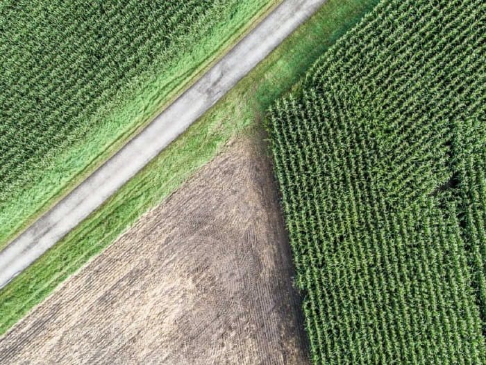 Aerial view of farmland showing a road dividing green crops and a brown ploughed field.