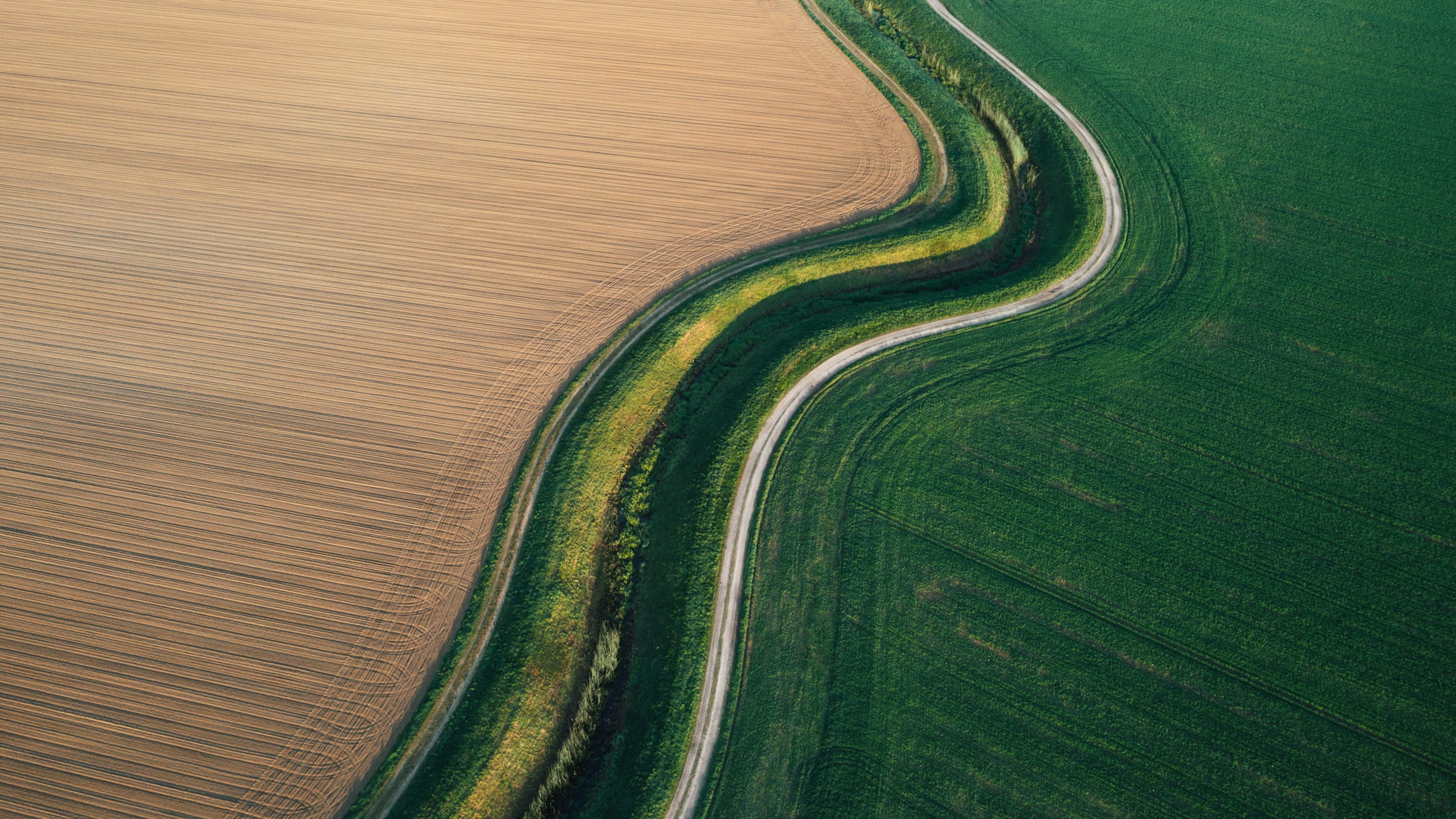 Landscape with road running through fields