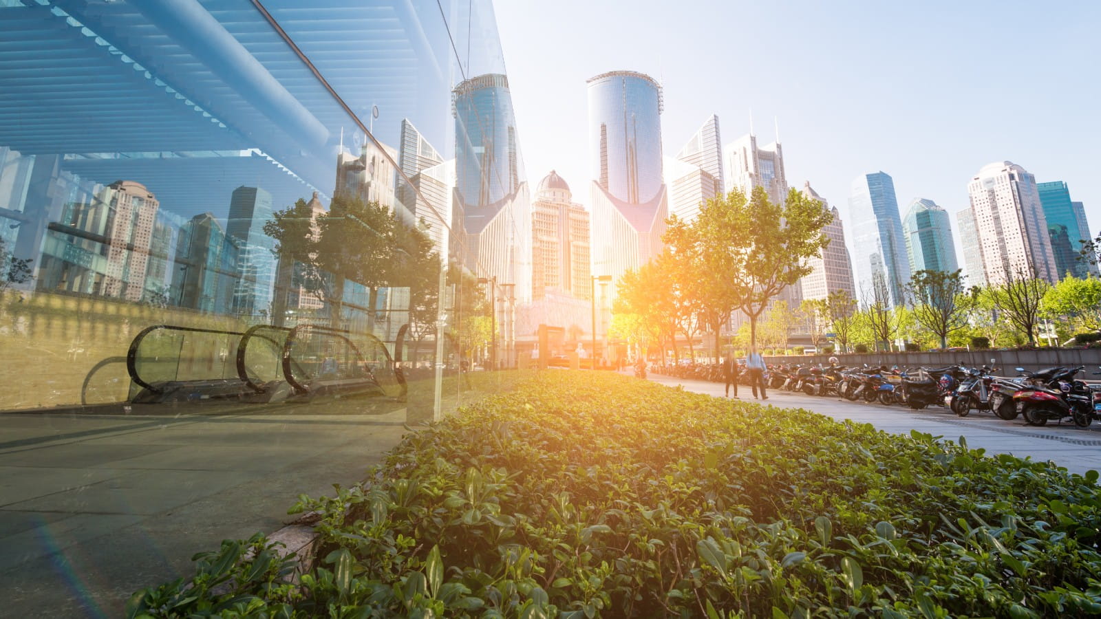Cityscape with greenery