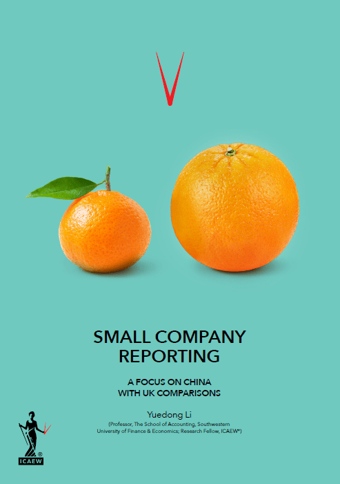 Small company reporting