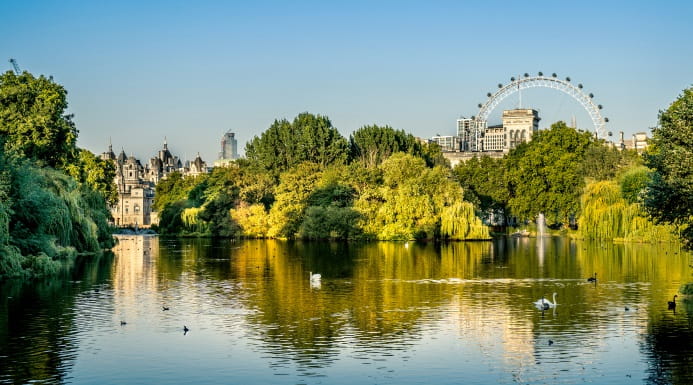 Scenic view of central London with the London Eye and surrounding buildings seen from across a lake in a city park