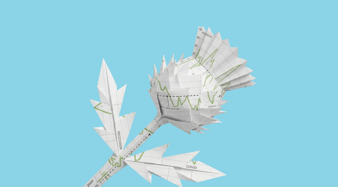 Stylised thistle illustration representing Scotland.