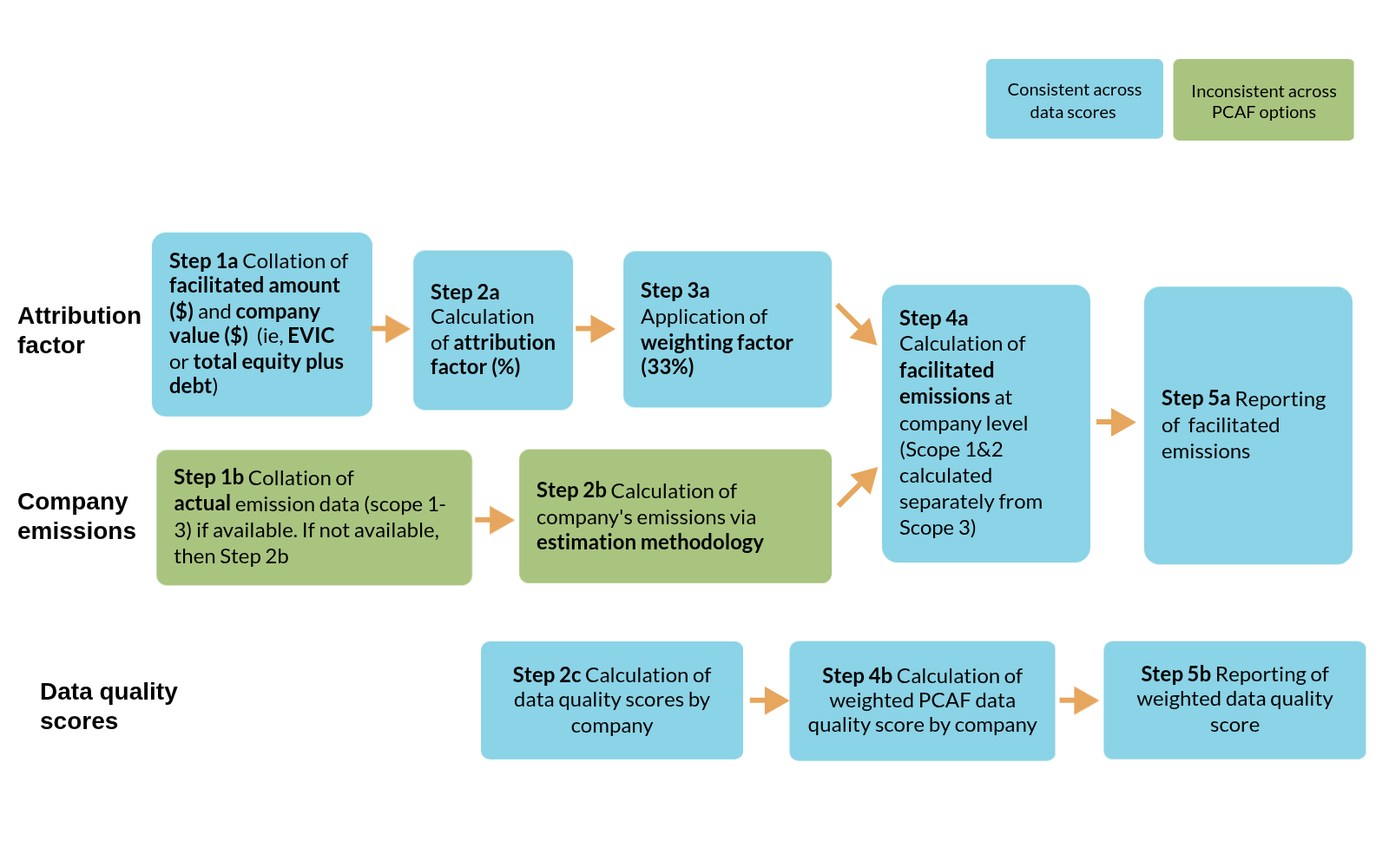 Flow diagram outlining the overall process flow for facilitated emissions from debt capital markets 