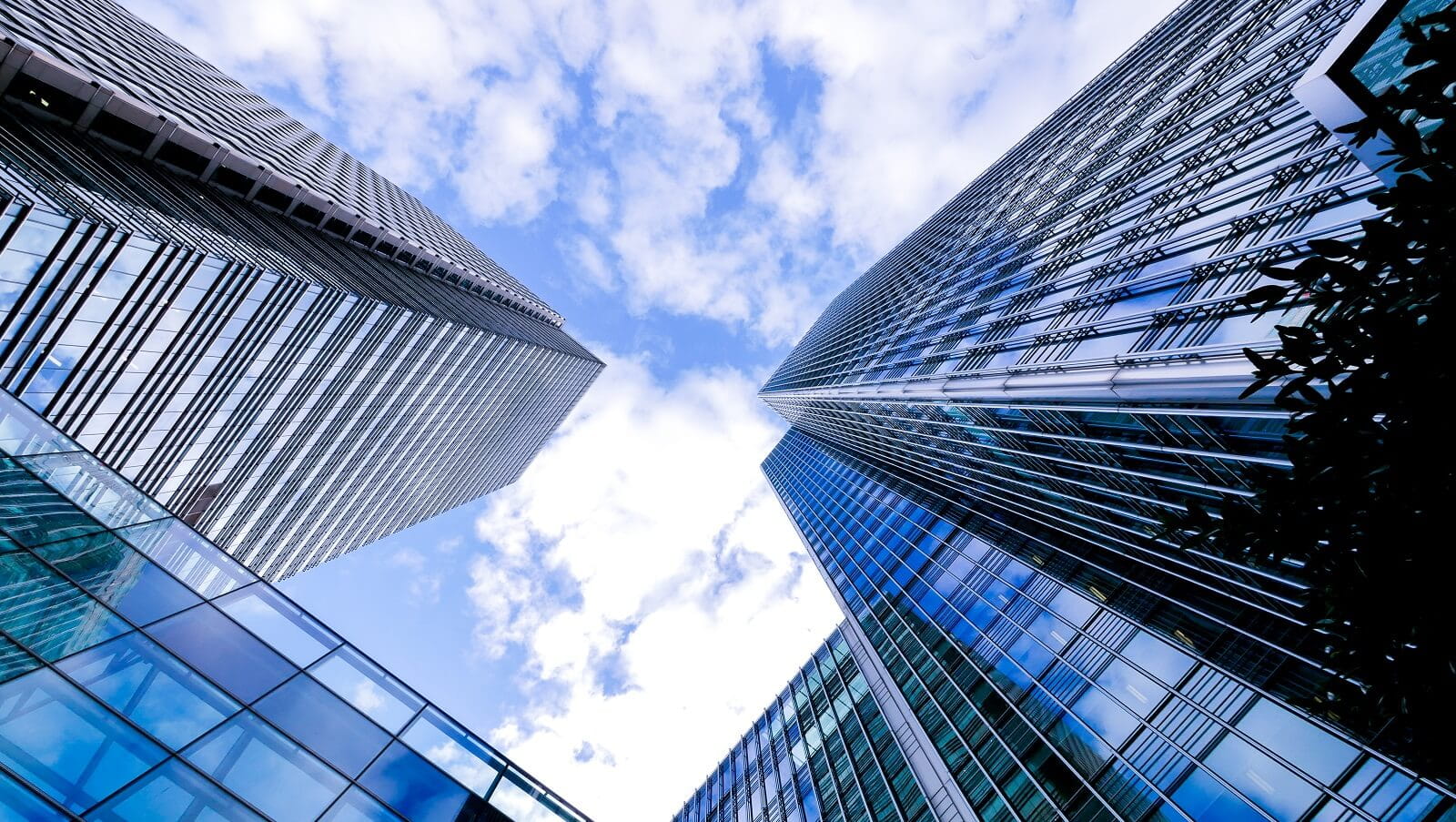 Skyscrapers viewed from below