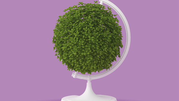 World plant