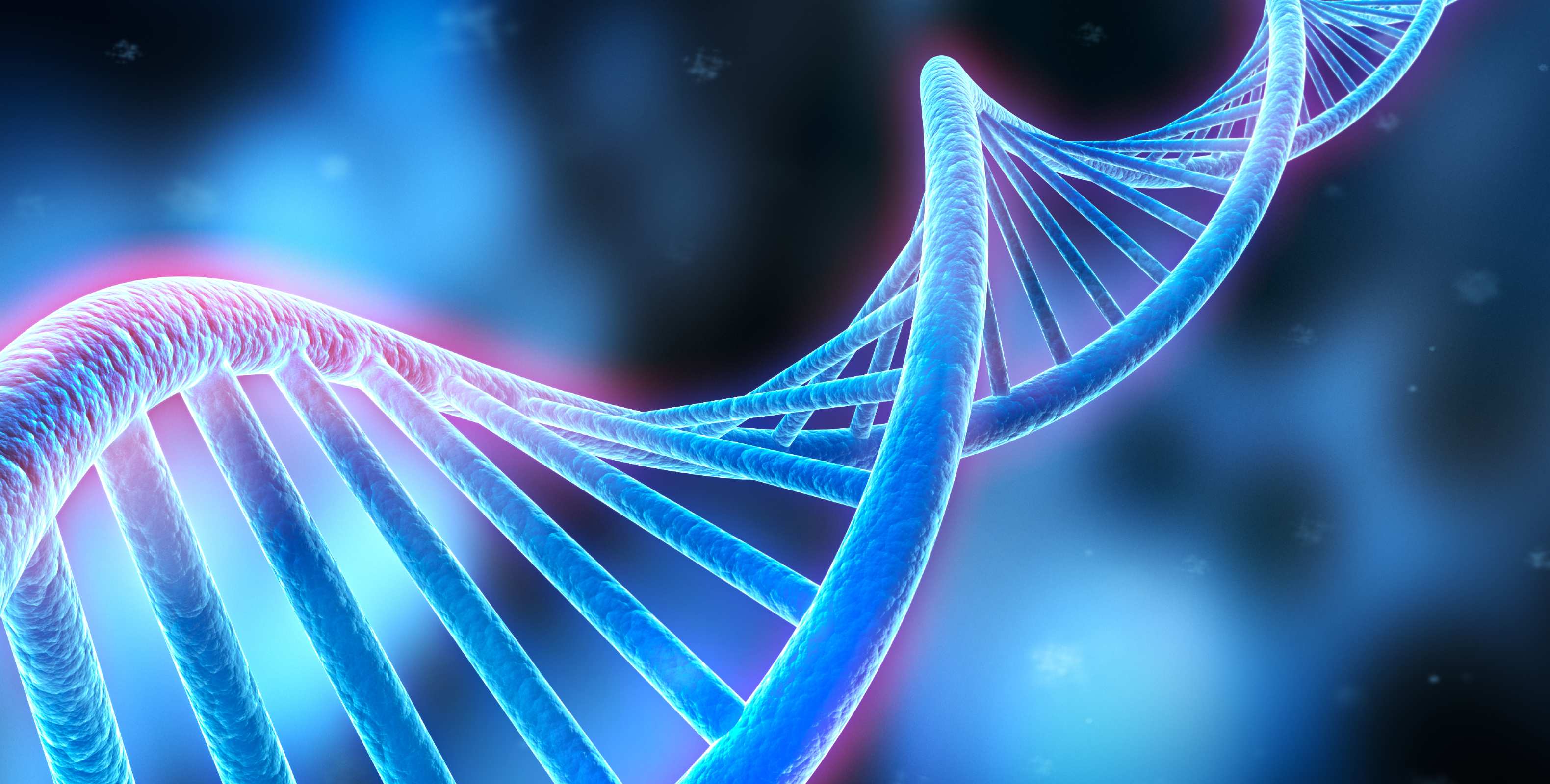 DNA strand on blue background