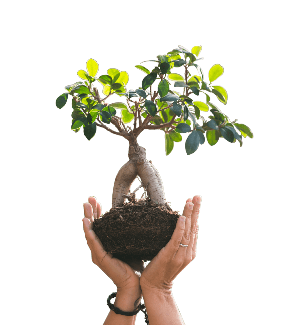 Climate champions campaign image