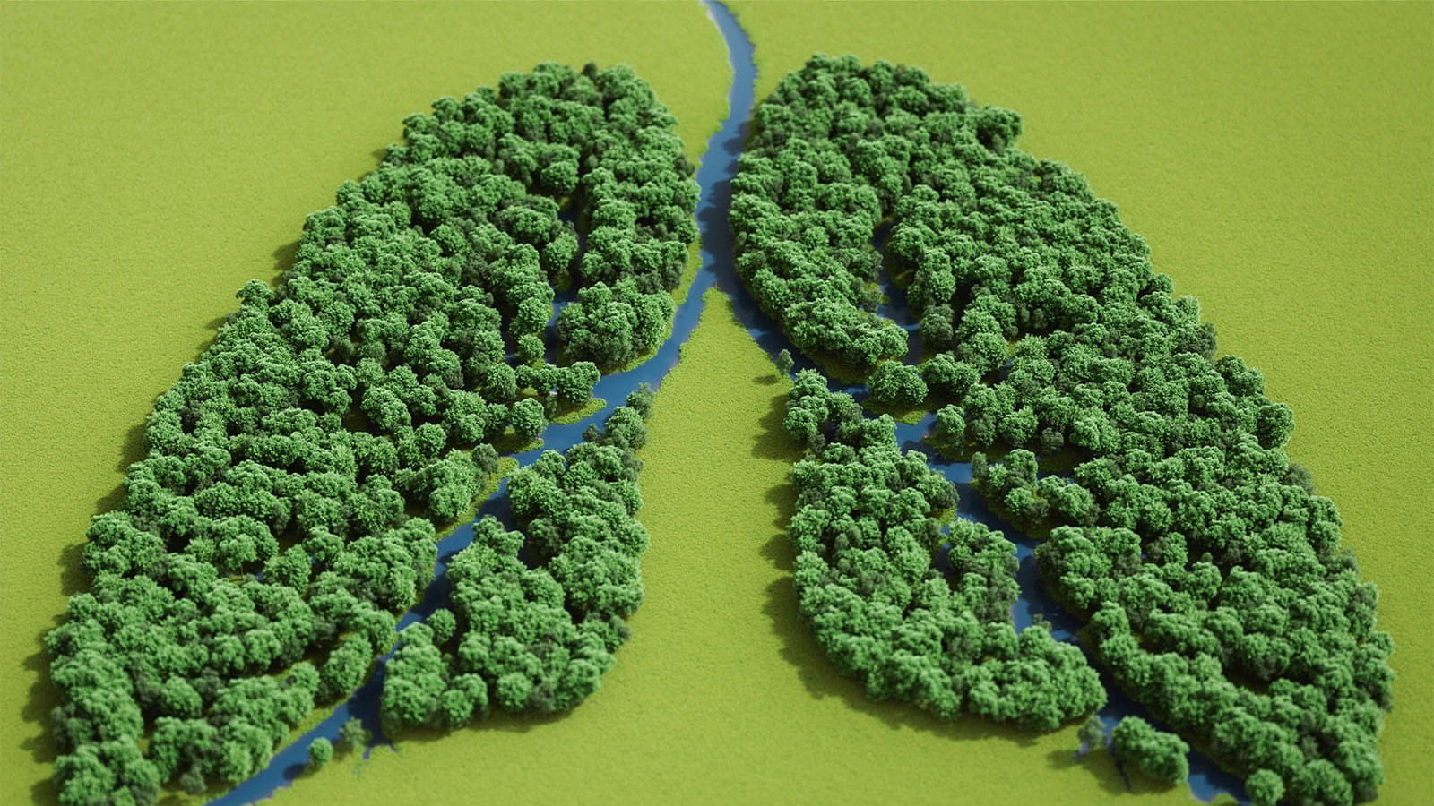 green trees forests in the shape of lungs with blue rivers on green background