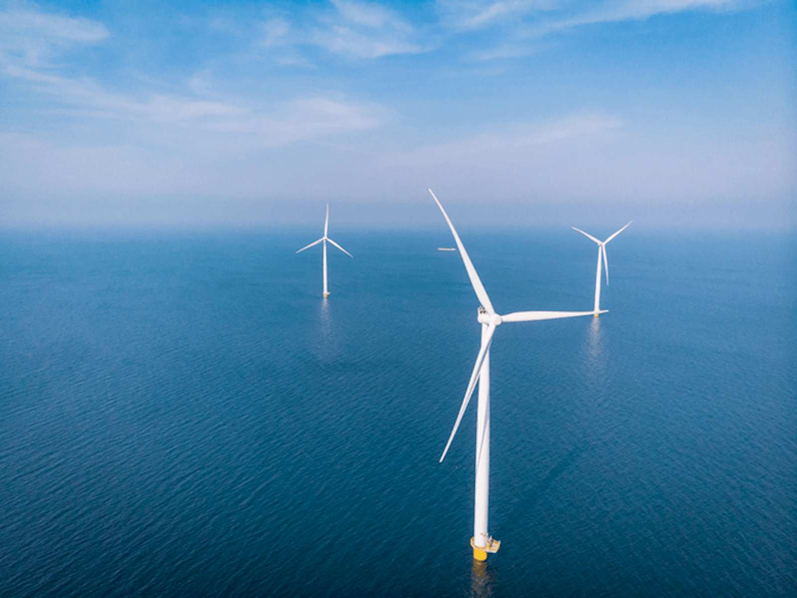 Sustainable wind farm energy