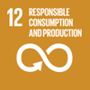 UN global goal Responsible consumption and production
