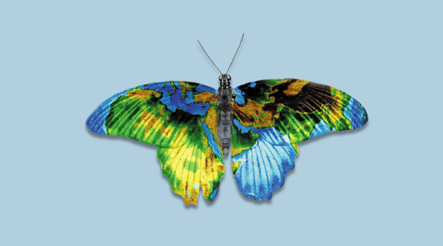 A butterfly with the pattern on its wings resembling the world.