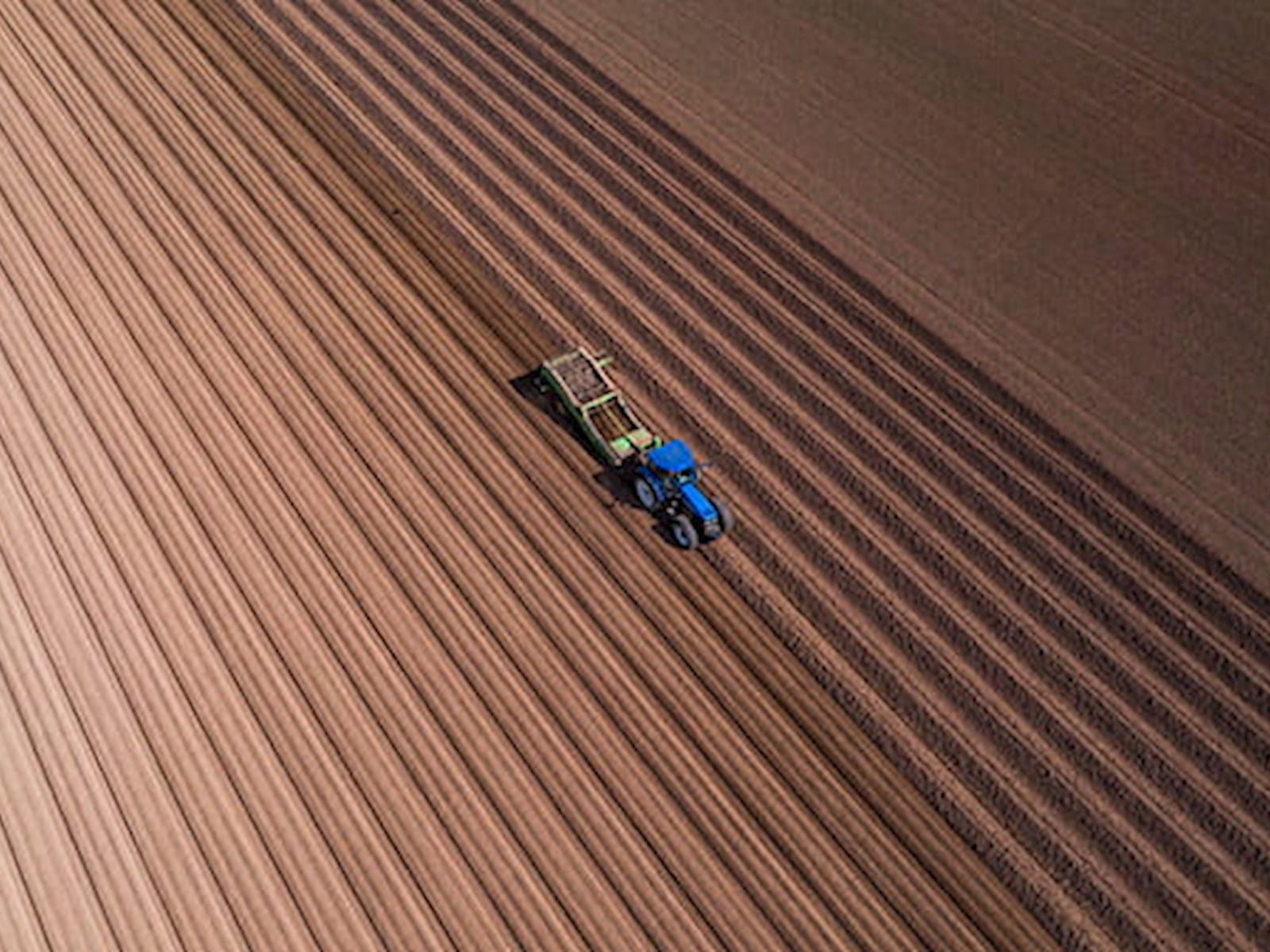 A tractor in a brown field