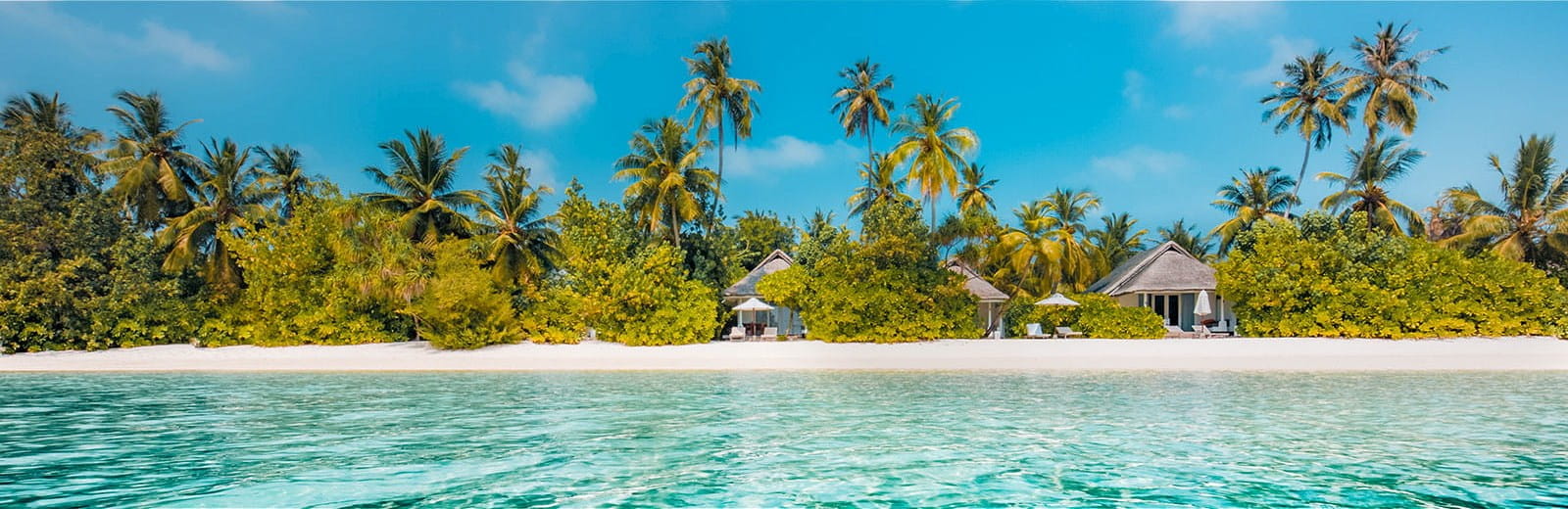 bahamas beach blue sky water sea ocean palm trees attracting talent ICAEW Taxline