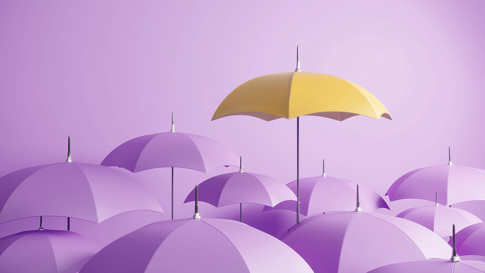 larger group of purple umbrellas with a yellow umbrella held above