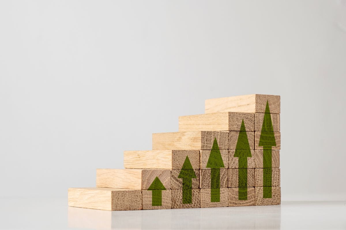 Image of growth graph printed on wooden blocks