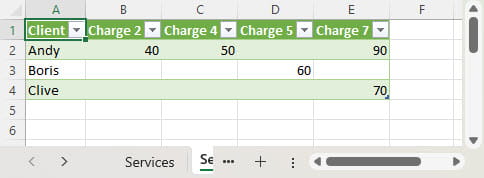 Screenshot showing renamed column headings in Excel