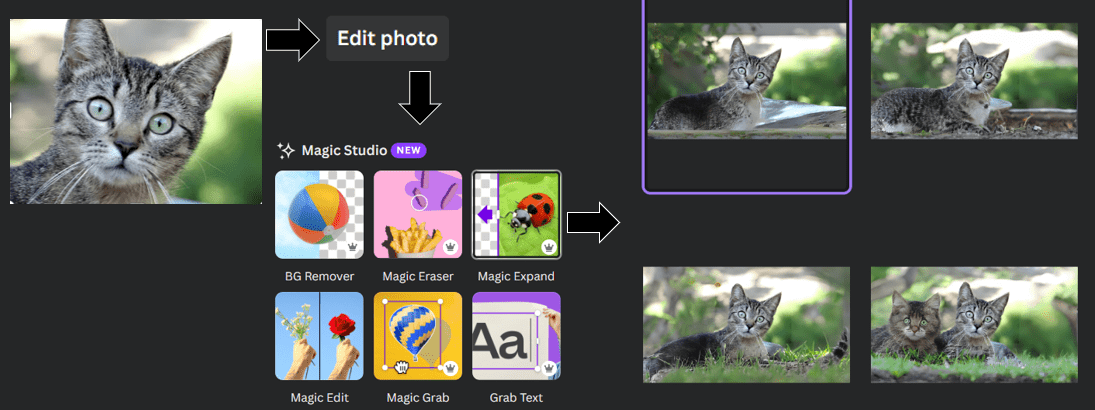 Screenshot of magic expand in Canva