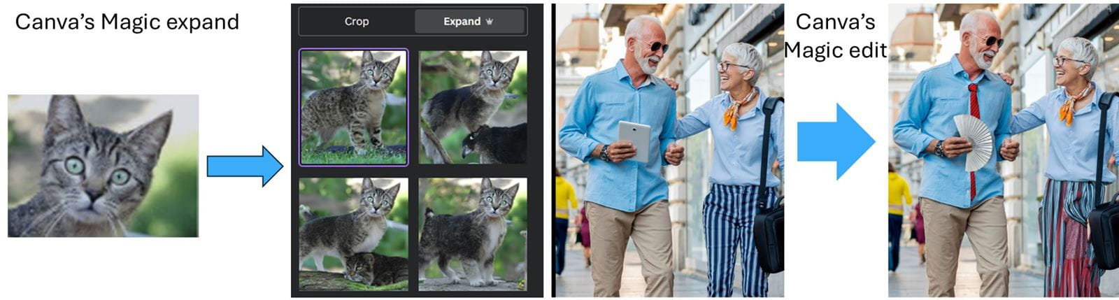 Microsoft 365 Copilot or get the features without the pricey license
