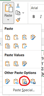 A screenshot of the options that appear when you click the arrow under the paste clipboard icon in Excel's Home ribbon, with the penultimate option circled.