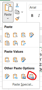 A screenshot of the options that appear when you click the arrow under the paste clipboard icon in Excel's Home ribbon, with the last option circled.