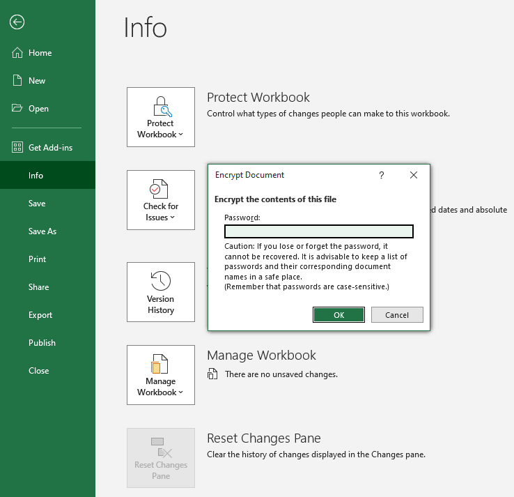 Image of Excel screenshot showing how to enter an encryption password