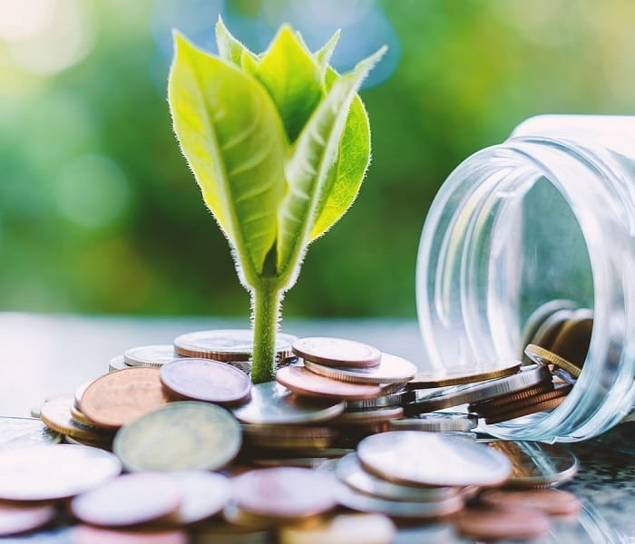 connecting finance and sustainability