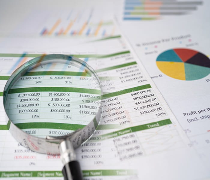 Magnifying glass and spreadsheets